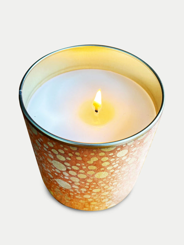 Solo Collection: Ginger Spice