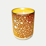 Solo Collection: Ginger Spice