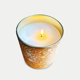 Solo Collection: Ginger Spice