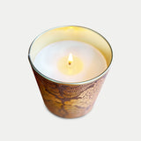 Solo Collection: Vanilla Evergreen