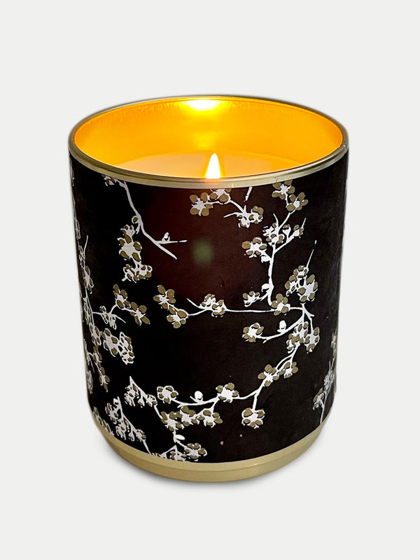 Solo Collection: Vanilla After Dark