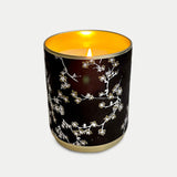 Solo Collection: Vanilla After Dark