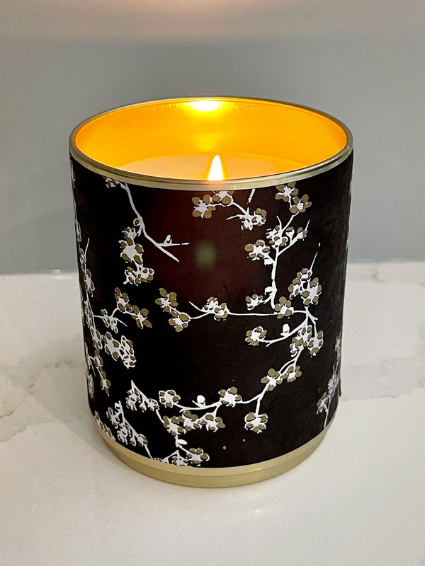 Solo Collection: Vanilla After Dark