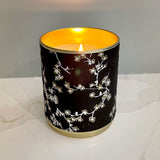 Solo Collection: Vanilla After Dark