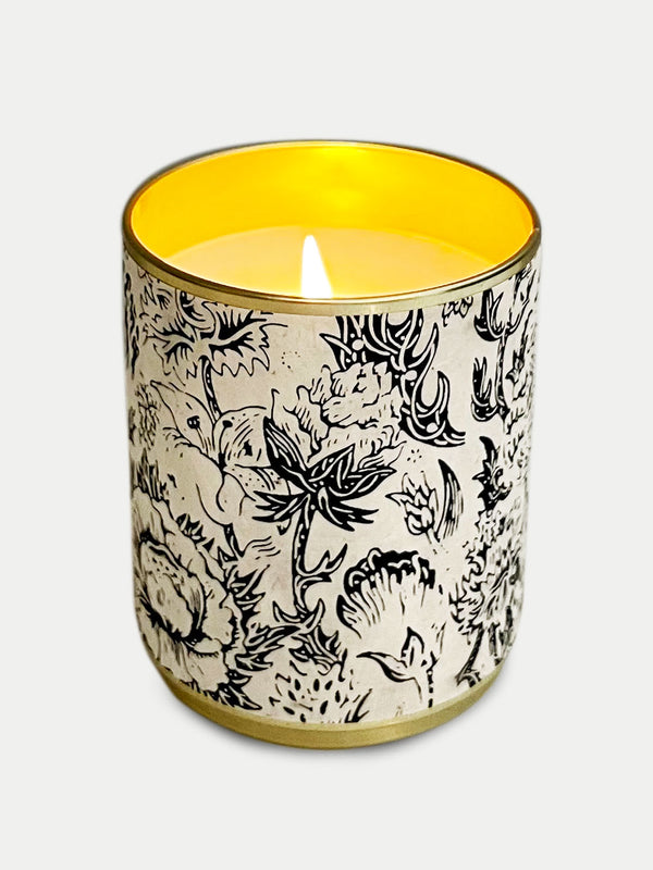 Solo Collection: Cabin Fever