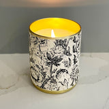 Solo Collection: Cabin Fever